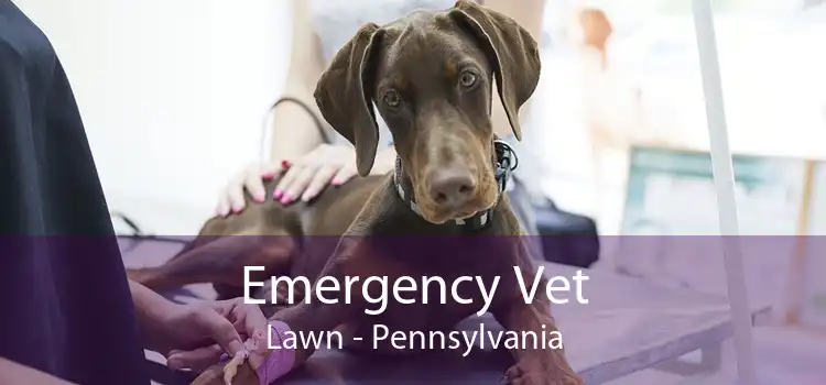 Emergency Vet Lawn - Pennsylvania