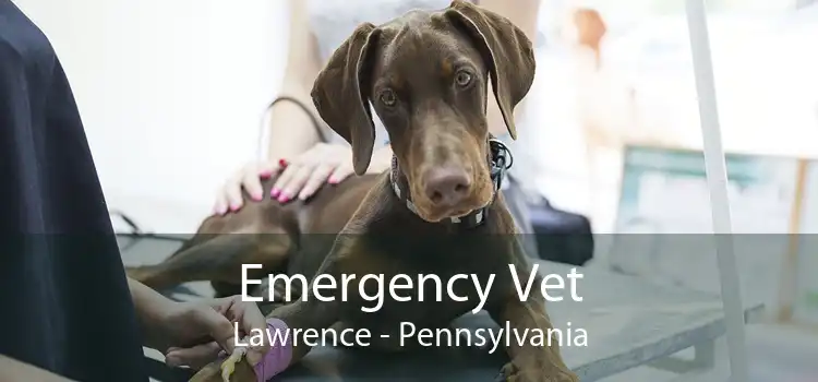 Emergency Vet Lawrence - Pennsylvania