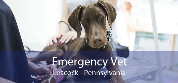 Emergency Vet Leacock - Pennsylvania