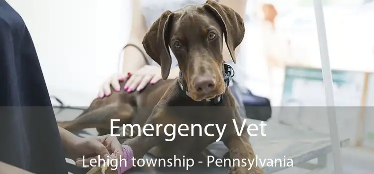 Emergency Vet Lehigh township - Pennsylvania