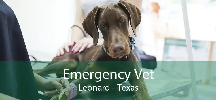 Emergency Vet Leonard - Texas