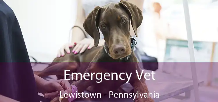 Emergency Vet Lewistown - Pennsylvania