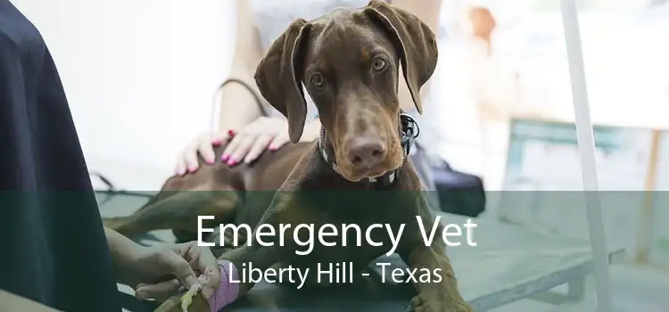 Emergency Vet Liberty Hill - Texas