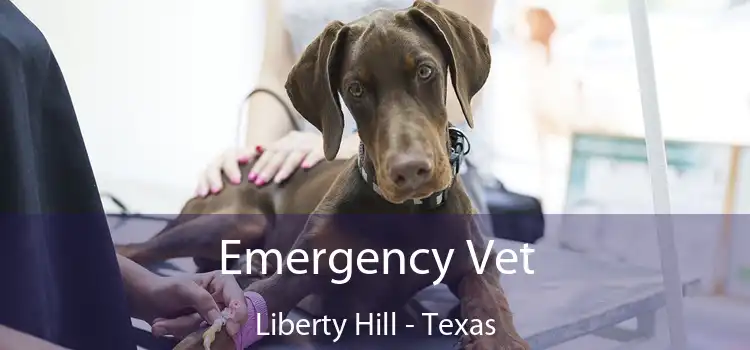 Emergency Vet Liberty Hill - Texas