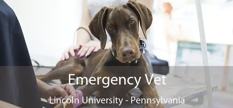Emergency Vet Lincoln University - Pennsylvania