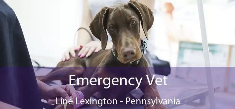 Emergency Vet Line Lexington - Pennsylvania