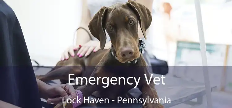 Emergency Vet Lock Haven - Pennsylvania