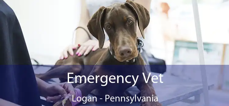 Emergency Vet Logan - Pennsylvania