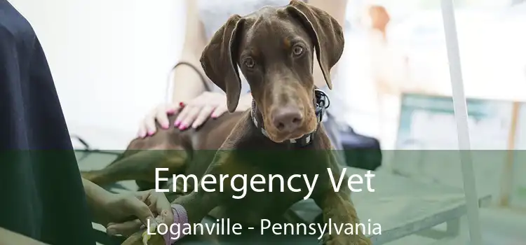 Emergency Vet Loganville - Pennsylvania