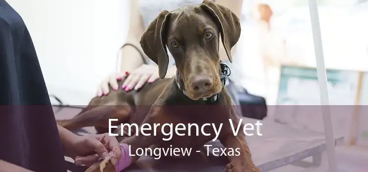 Emergency Vet Longview - Texas