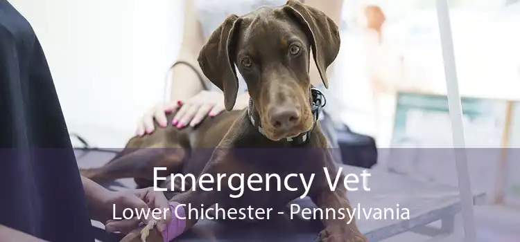 Emergency Vet Lower Chichester - Pennsylvania