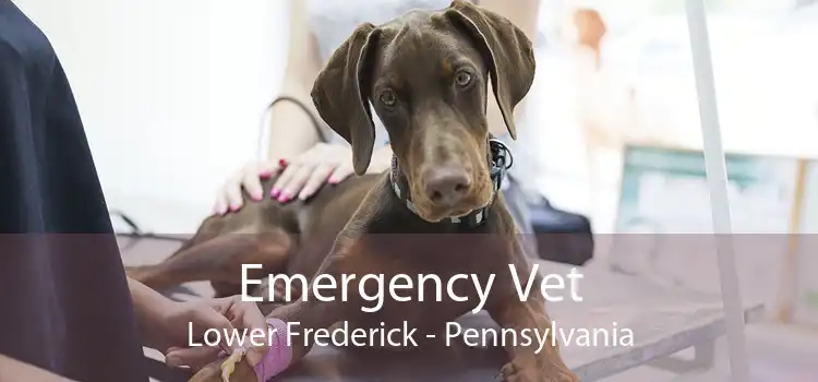 Emergency Vet Lower Frederick - Pennsylvania