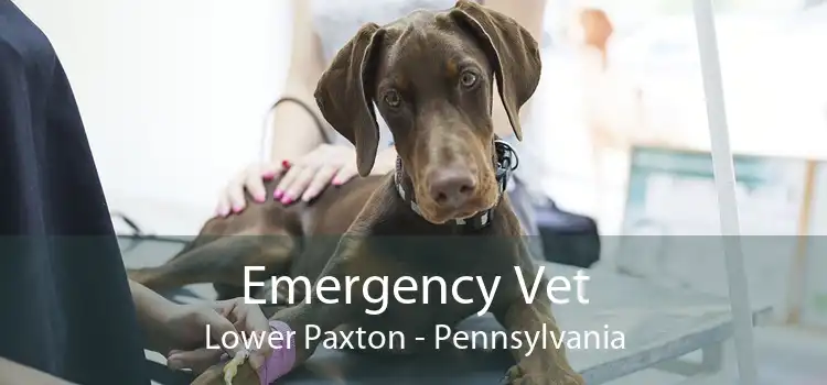 Emergency Vet Lower Paxton - Pennsylvania