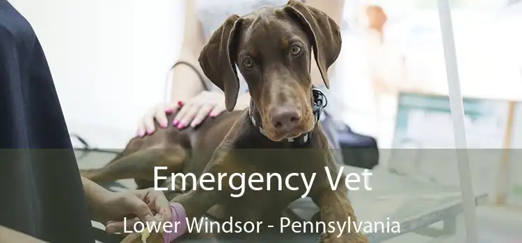 Emergency Vet Lower Windsor - Pennsylvania