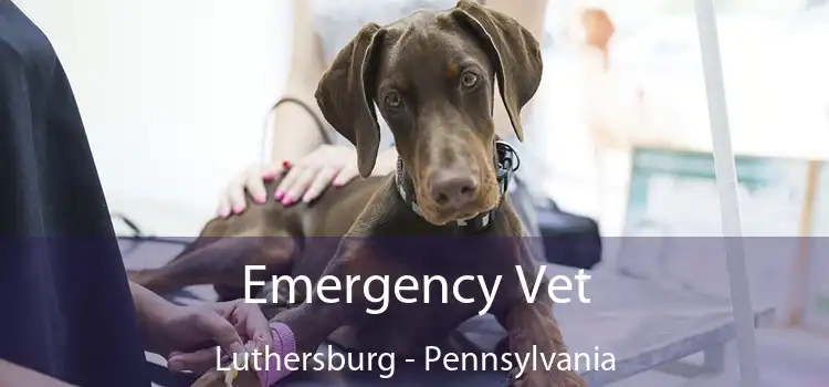 Emergency Vet Luthersburg - Pennsylvania