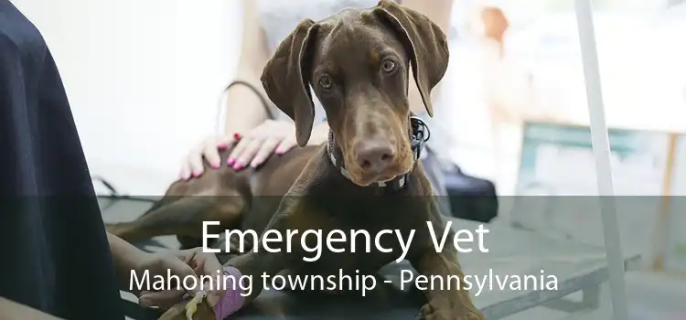 Emergency Vet Mahoning township - Pennsylvania