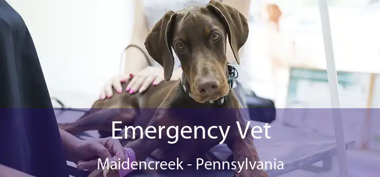 Emergency Vet Maidencreek - Pennsylvania
