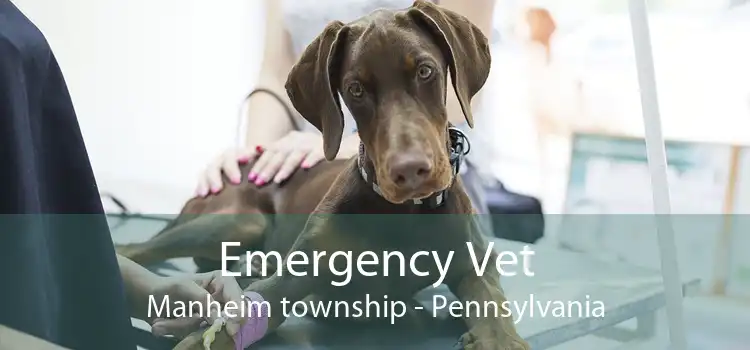 Emergency Vet Manheim township - Pennsylvania