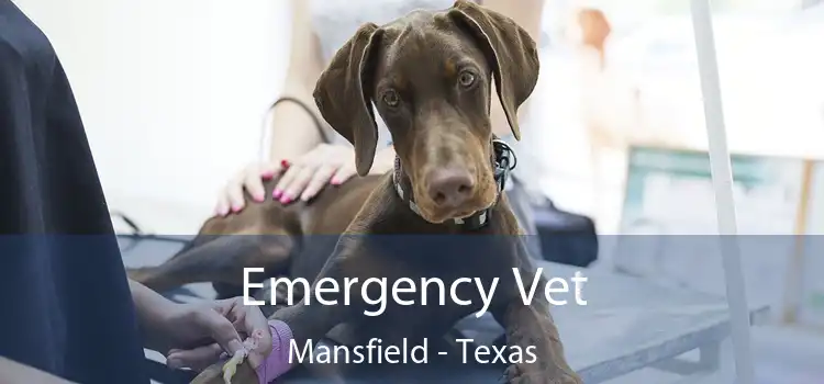 Emergency Vet Mansfield - Texas