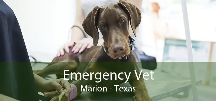 Emergency Vet Marion - Texas