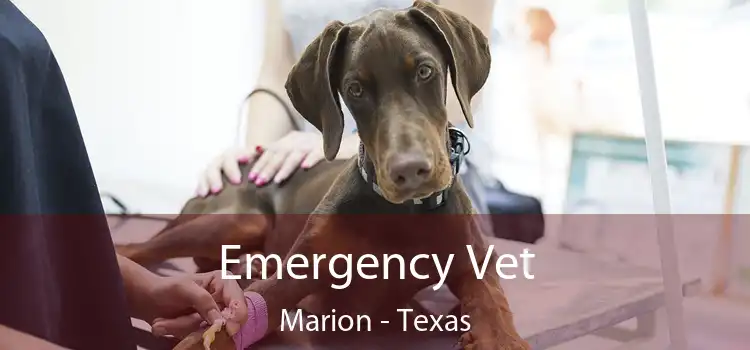 Emergency Vet Marion - Texas