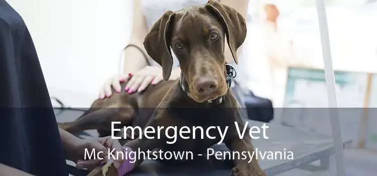 Emergency Vet Mc Knightstown - Pennsylvania