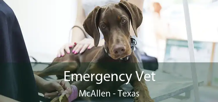 Emergency Vet McAllen - Texas