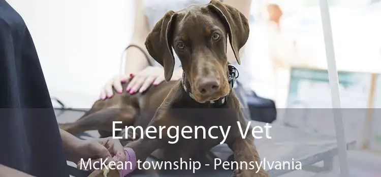 Emergency Vet McKean township - Pennsylvania