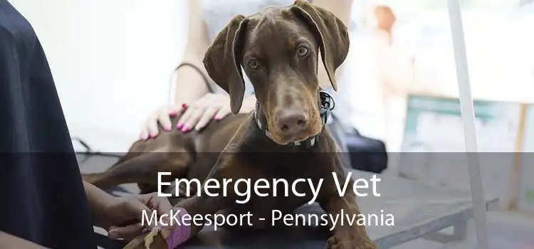 Emergency Vet McKeesport - Pennsylvania