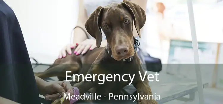 Emergency Vet Meadville - Pennsylvania