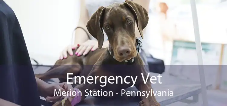 Emergency Vet Merion Station - Pennsylvania