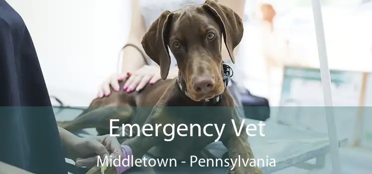Emergency Vet Middletown - Pennsylvania