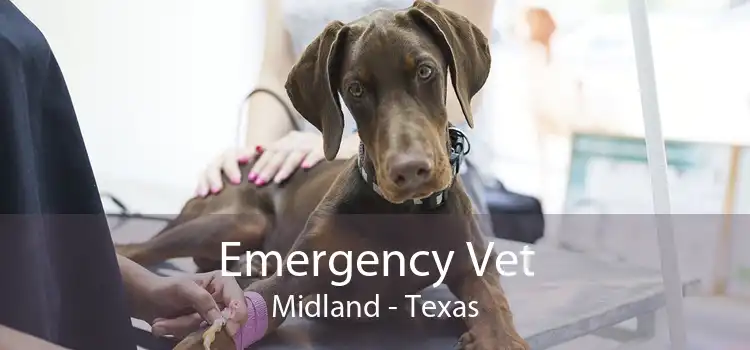Emergency Vet Midland - Texas