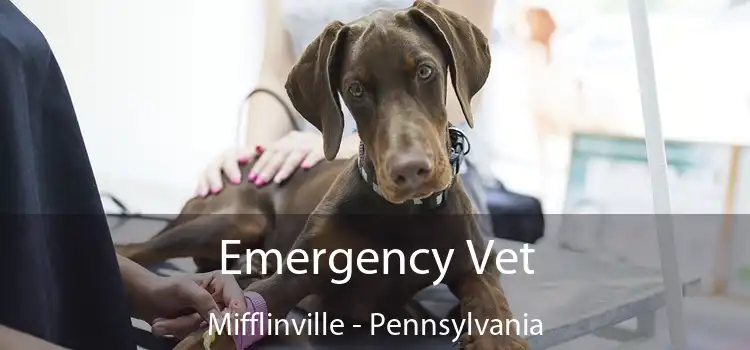 Emergency Vet Mifflinville - Pennsylvania