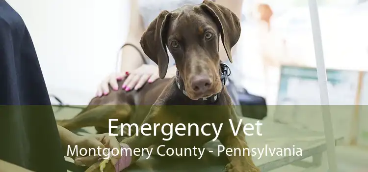 Emergency Vet Montgomery County - Pennsylvania