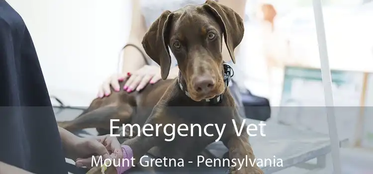 Emergency Vet Mount Gretna - Pennsylvania