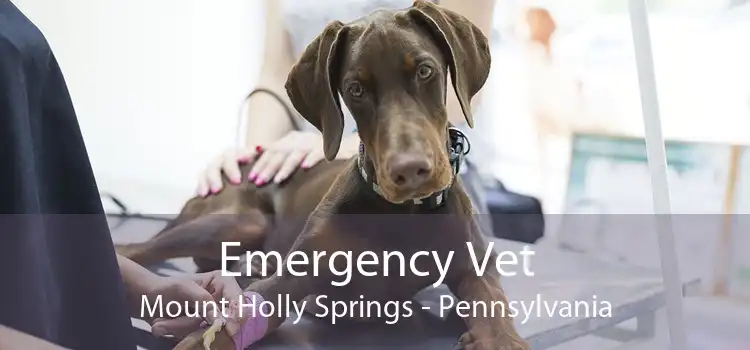Emergency Vet Mount Holly Springs - Pennsylvania