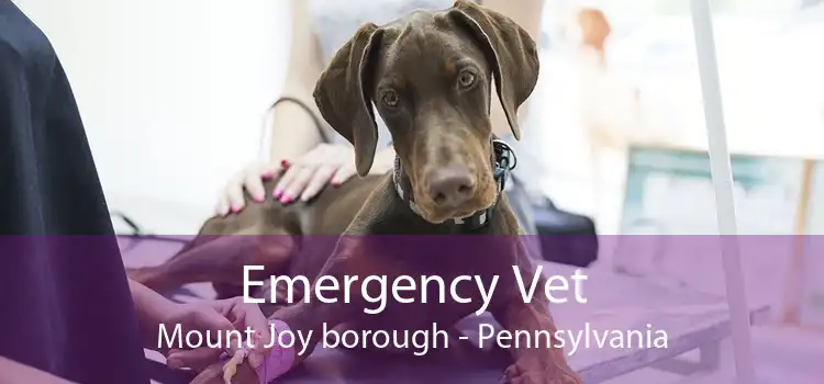 Emergency Vet Mount Joy borough - Pennsylvania