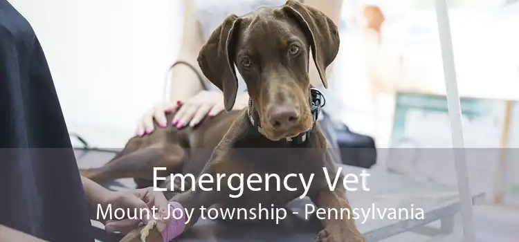 Emergency Vet Mount Joy township - Pennsylvania