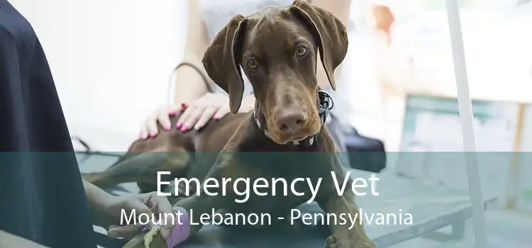 Emergency Vet Mount Lebanon - Pennsylvania