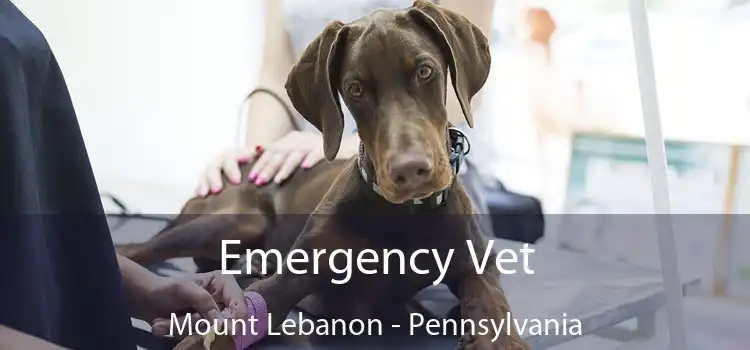 Emergency Vet Mount Lebanon - Pennsylvania