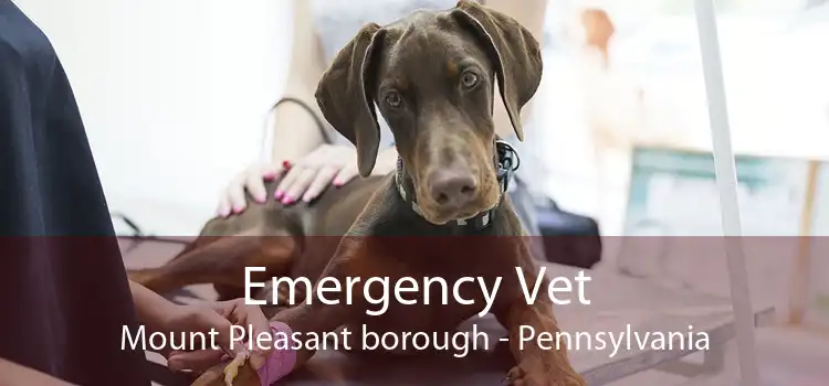Emergency Vet Mount Pleasant borough - Pennsylvania