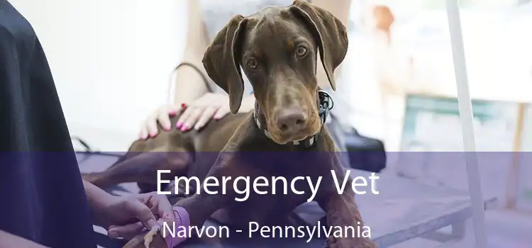 Emergency Vet Narvon - Pennsylvania