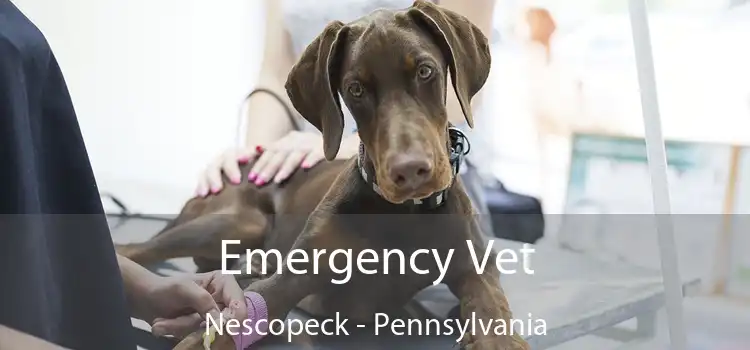 Emergency Vet Nescopeck - Pennsylvania