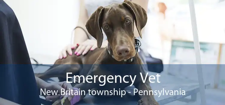 Emergency Vet New Britain township - Pennsylvania