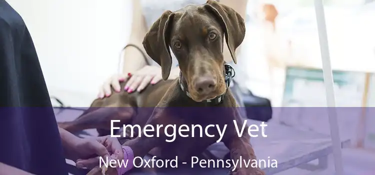 Emergency Vet New Oxford - Pennsylvania