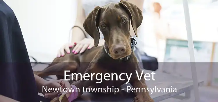 Emergency Vet Newtown township - Pennsylvania