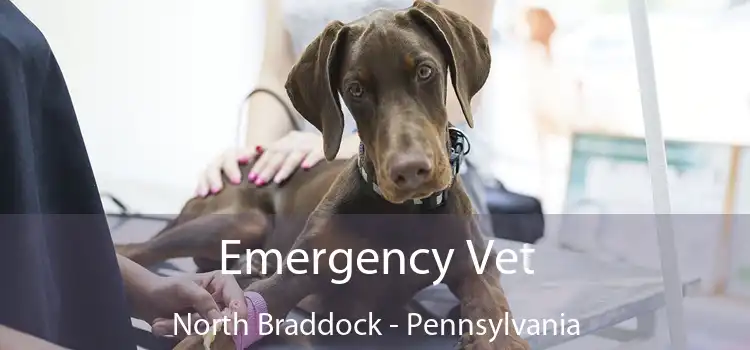 Emergency Vet North Braddock - Pennsylvania