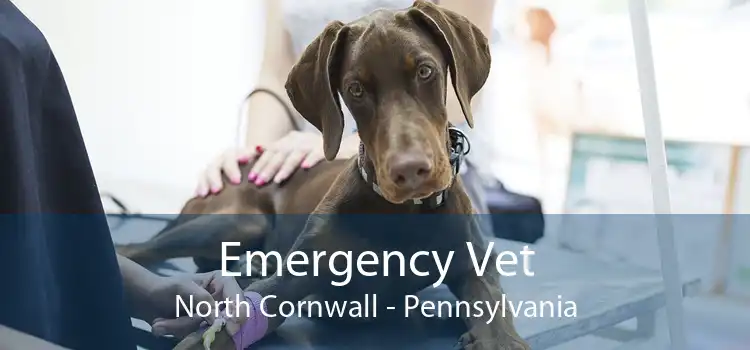 Emergency Vet North Cornwall - Pennsylvania
