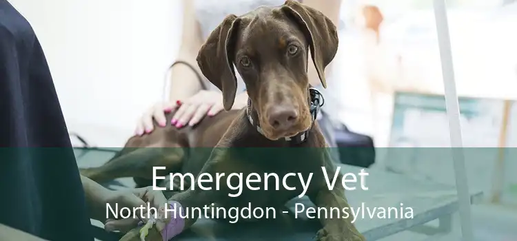 Emergency Vet North Huntingdon - Pennsylvania